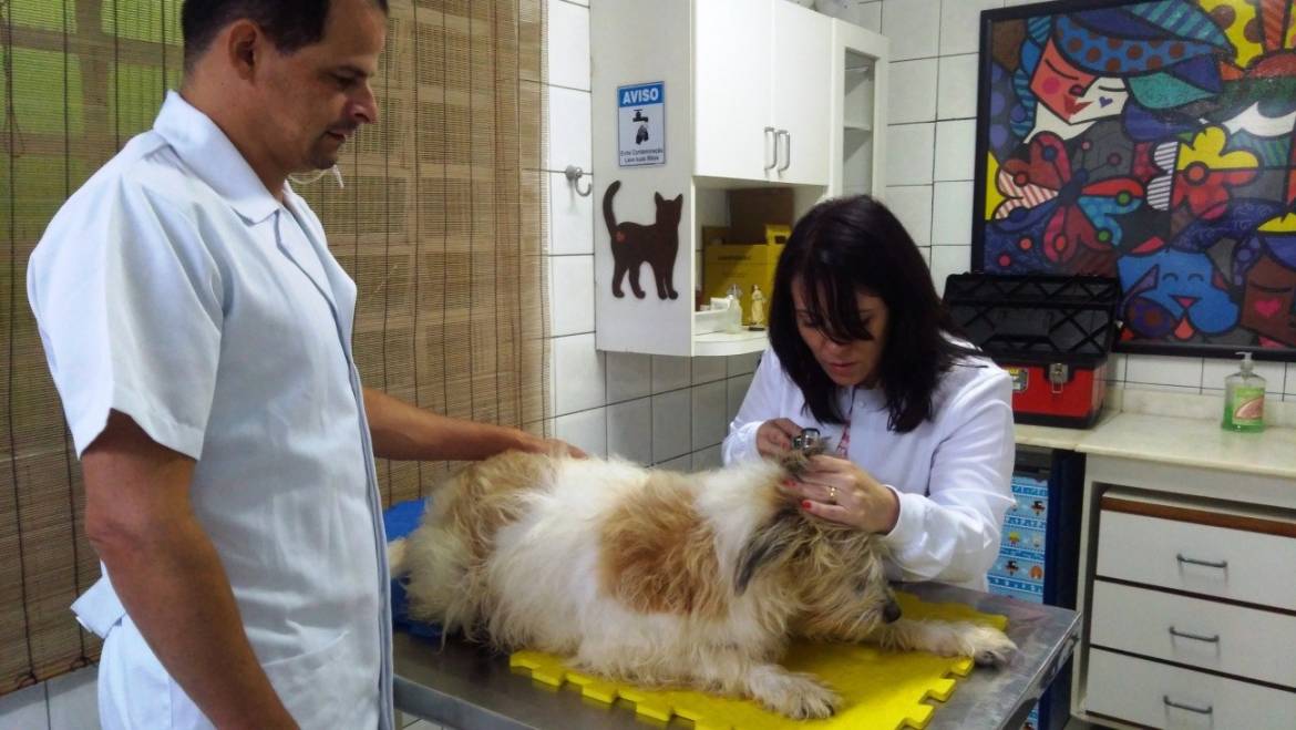 Clínica Veterinária