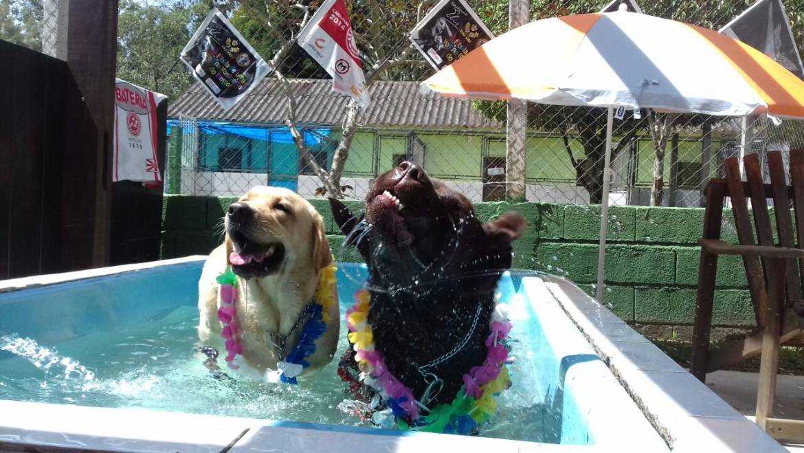 Banho de piscina